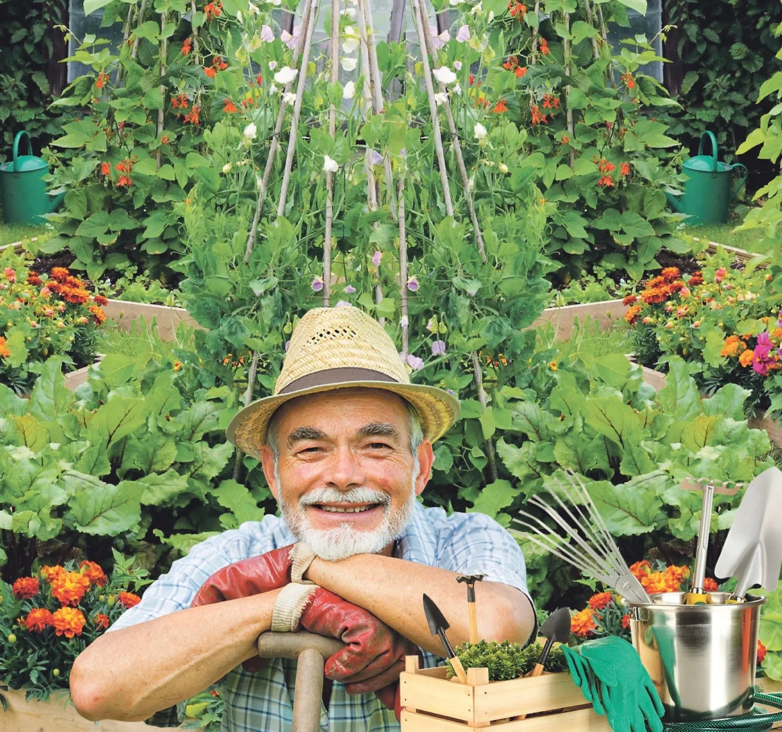 Полезные советы