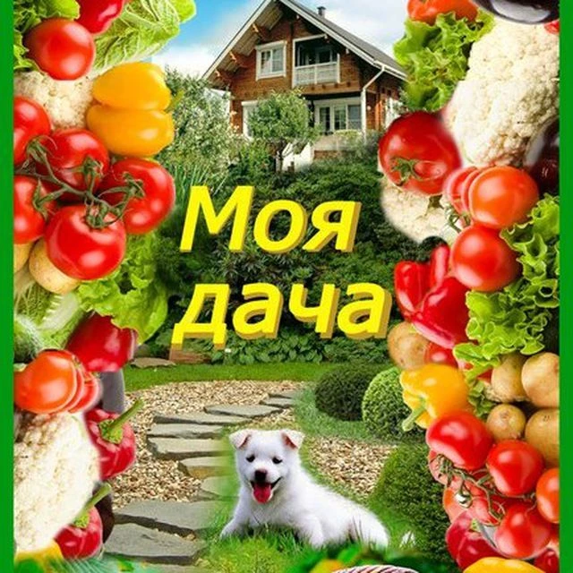 МОЯ ДАЧА — канал в мессенджере MAX