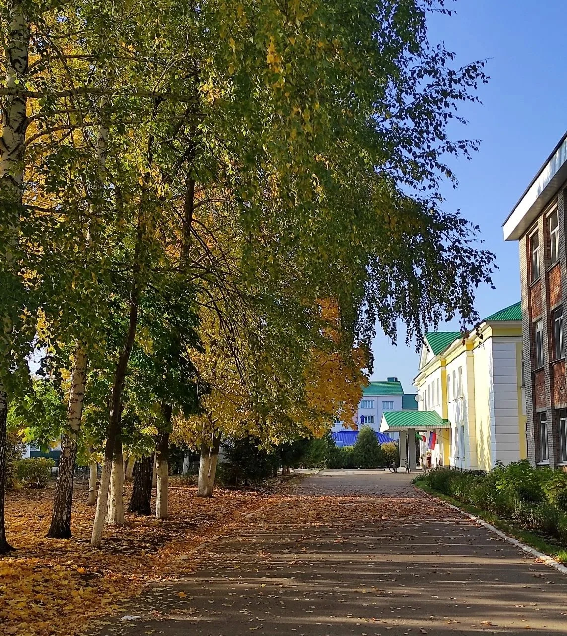 Муниципальное бюджетное общеобразовательное учреждение Карабашская средняя общеобразовательная школа №2 Бугульминского муниципального района Республики Татарстан