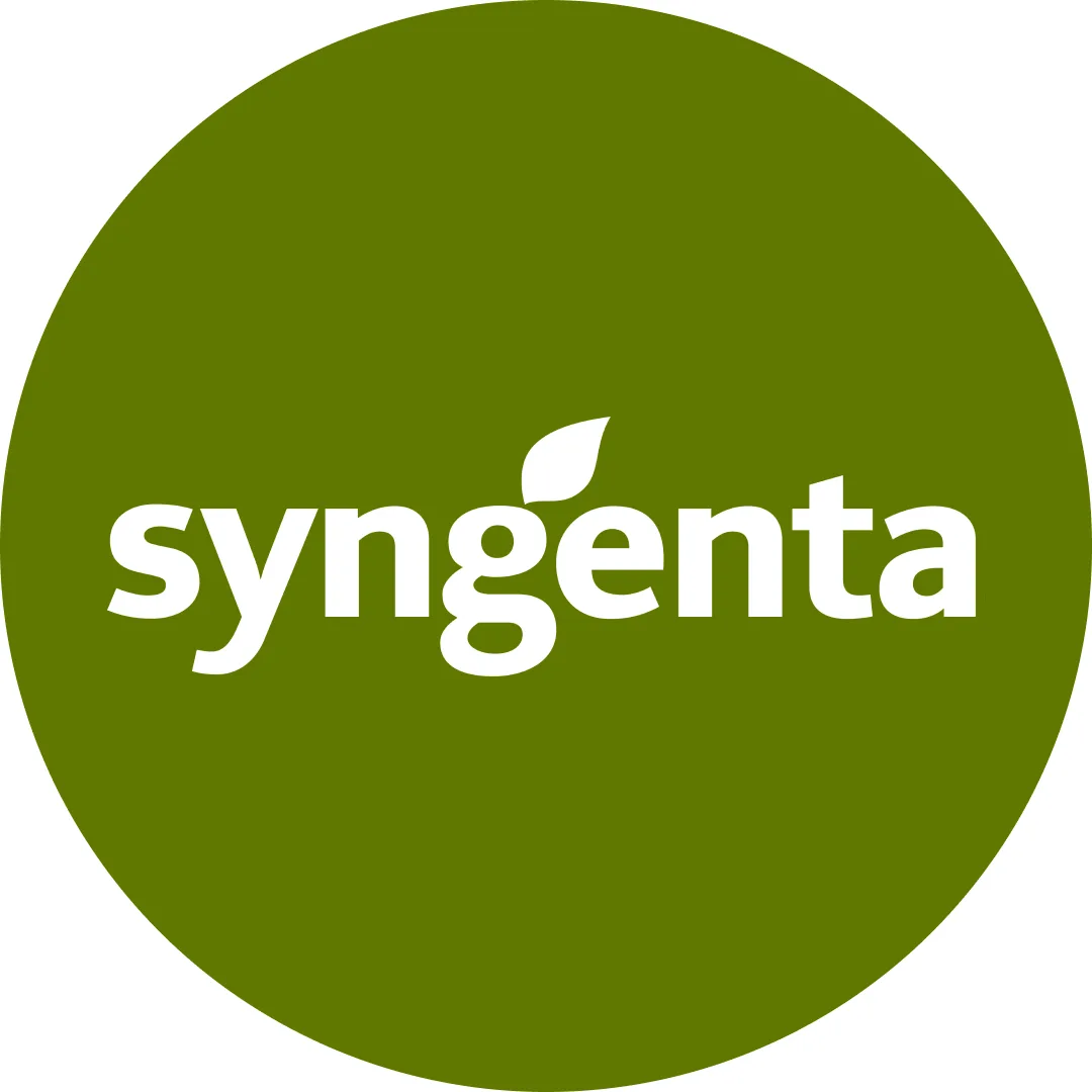 Syngenta — семена овощных культур — канал в мессенджере MAX
