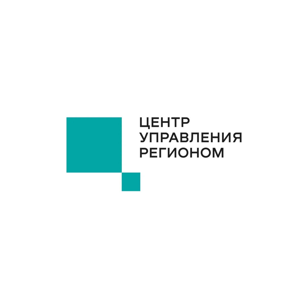 ЦУР Пензенской области — канал в мессенджере MAX