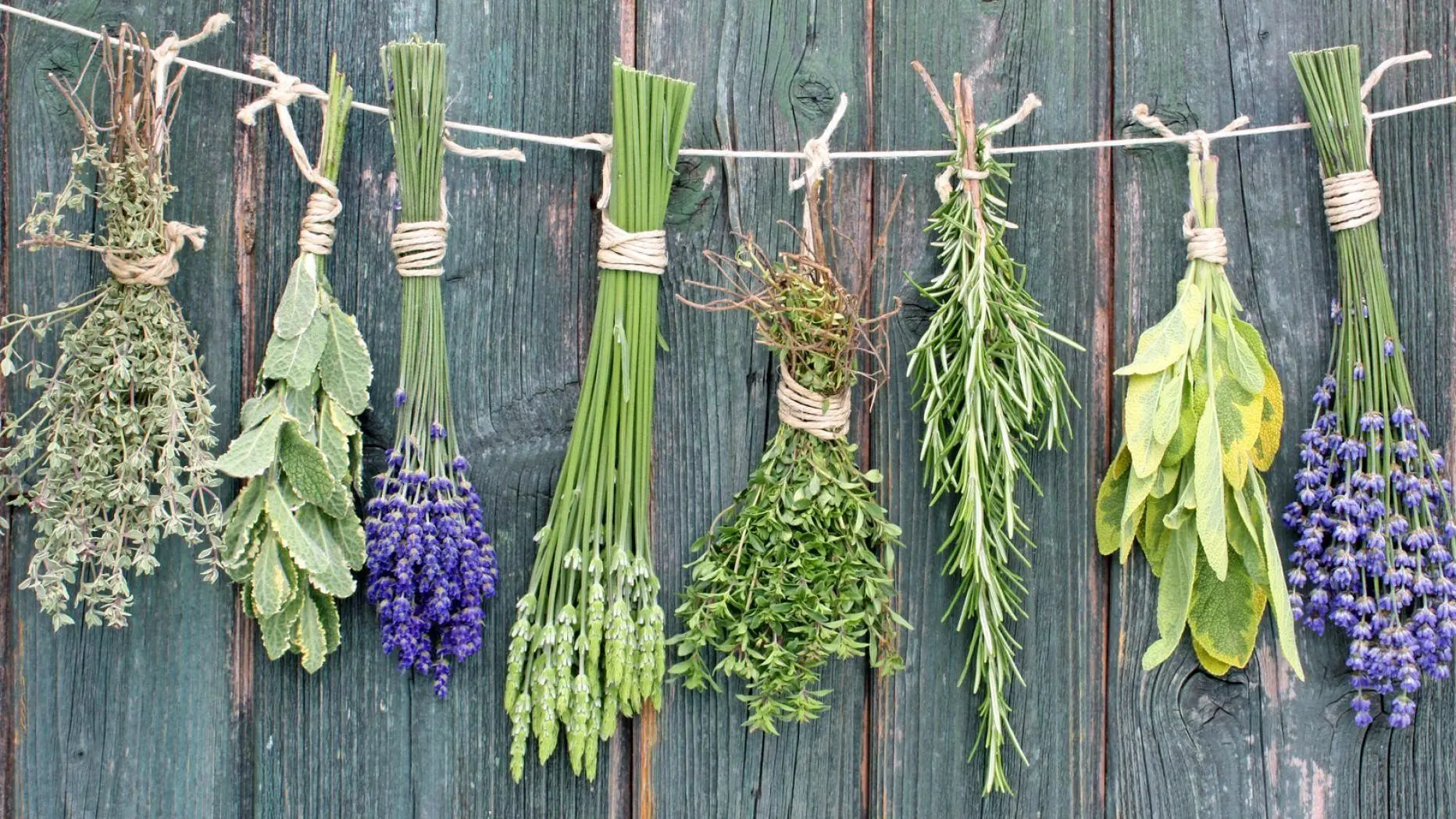 Здравница. Народная медицина