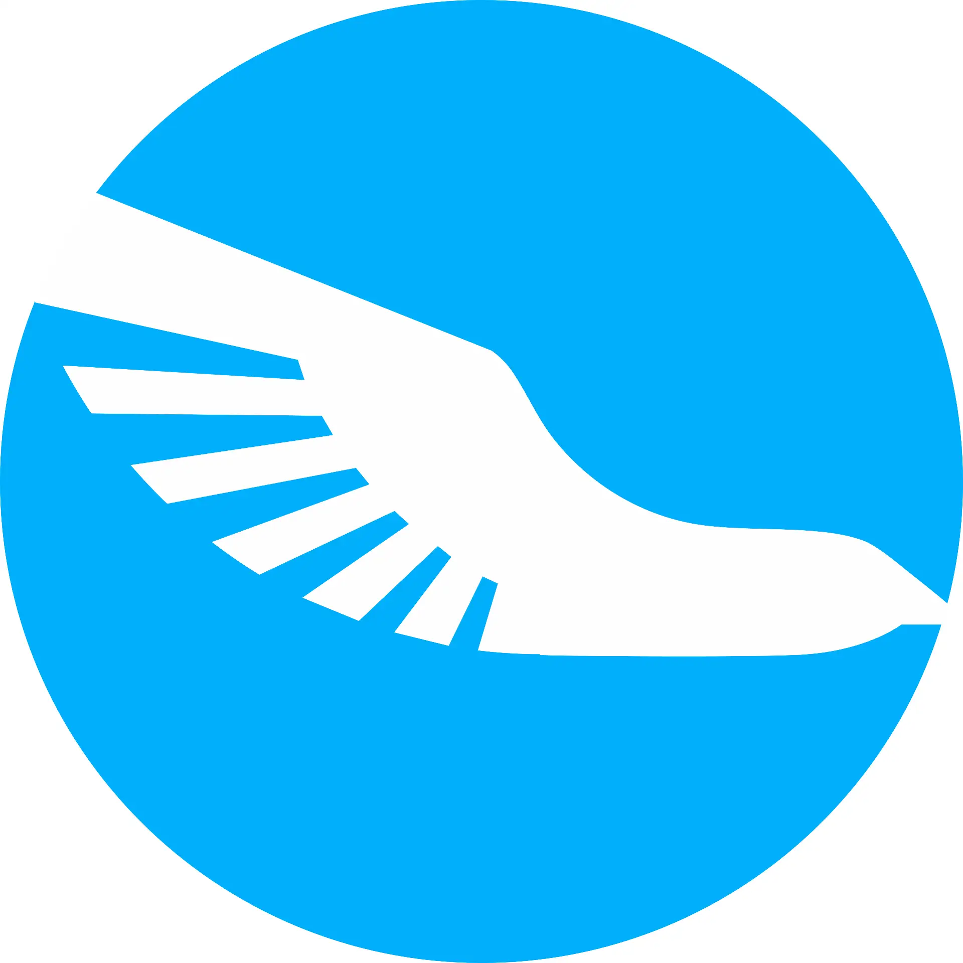 Логистика | импорт | экспорт Sky Cargo Service