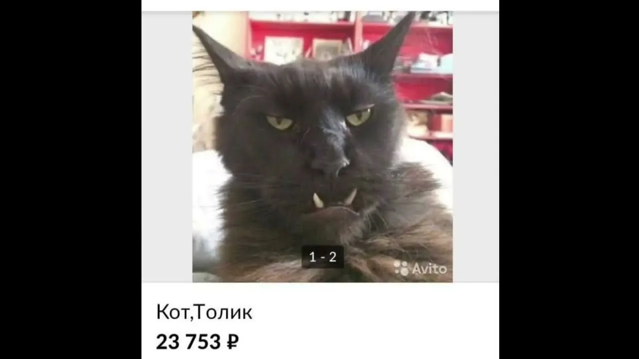 Логотип канала