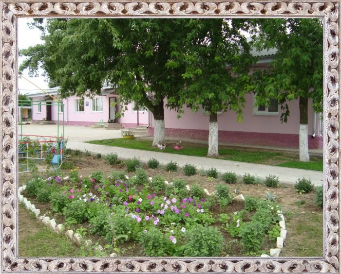 МБДОУ ЦРР - детский сад № 8 "Чайка"