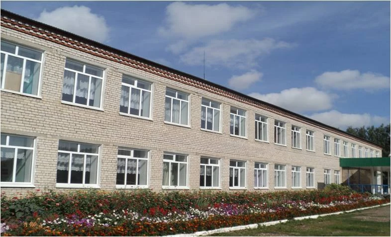 Мамадышский район МБОУ "Олуязский лицей"