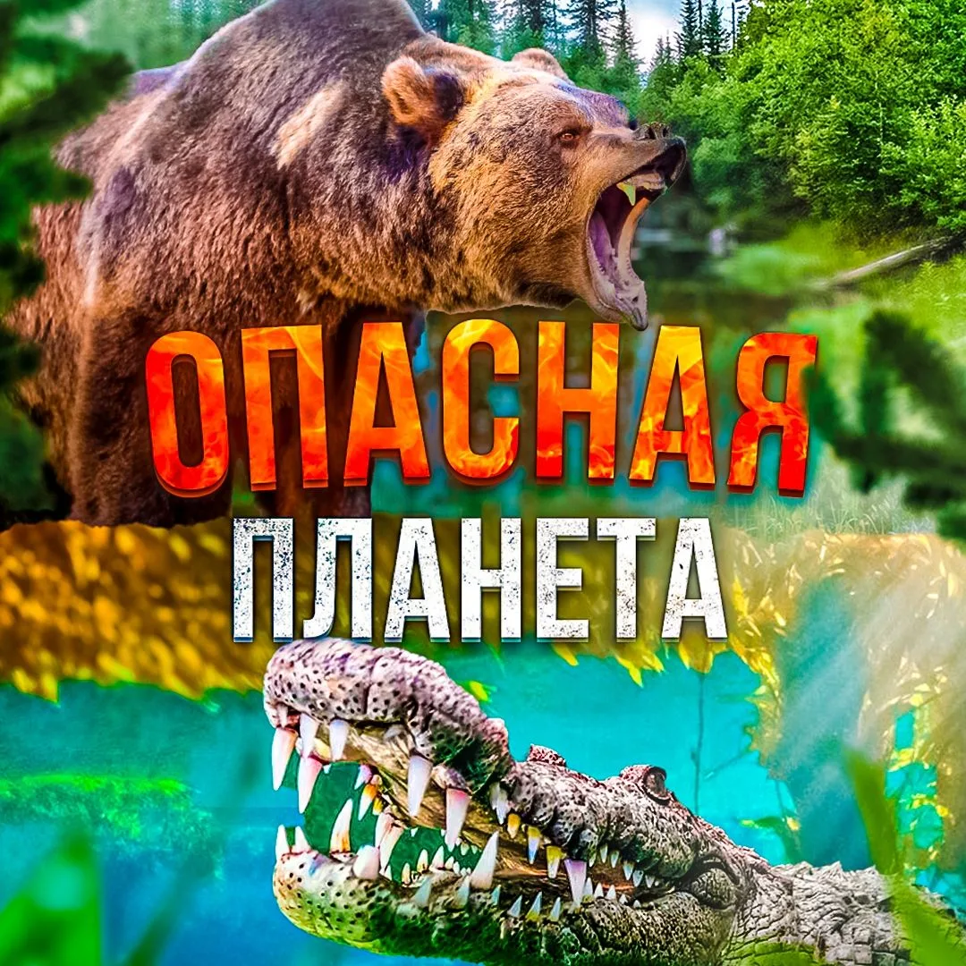 Опасная планета — канал в мессенджере MAX