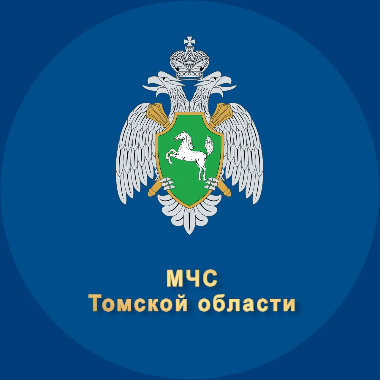 МЧС Томской области