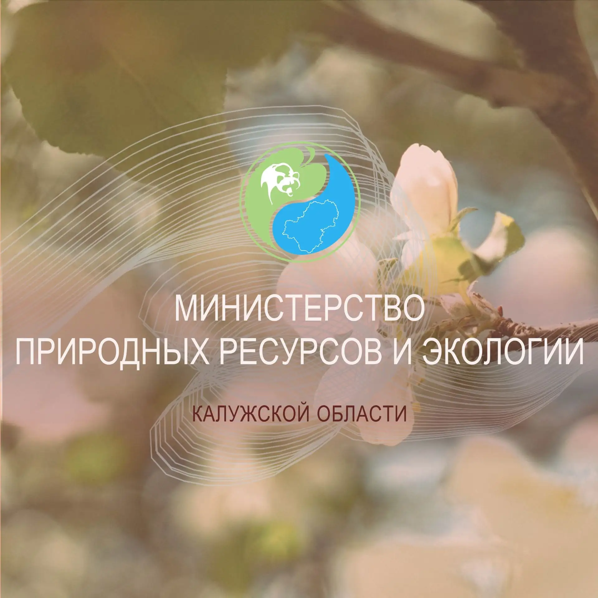 Минприроды Калужской области