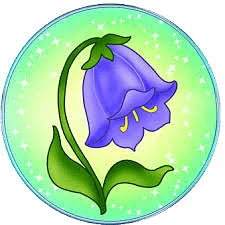 Детский сад 85 Колокольчик Великий Новгород