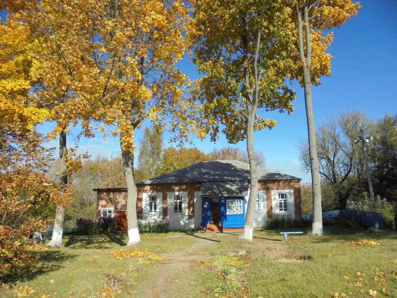 МБОУ "Доманичская ООШ" Почепского района Брянской области — канал в мессенджере MAX
