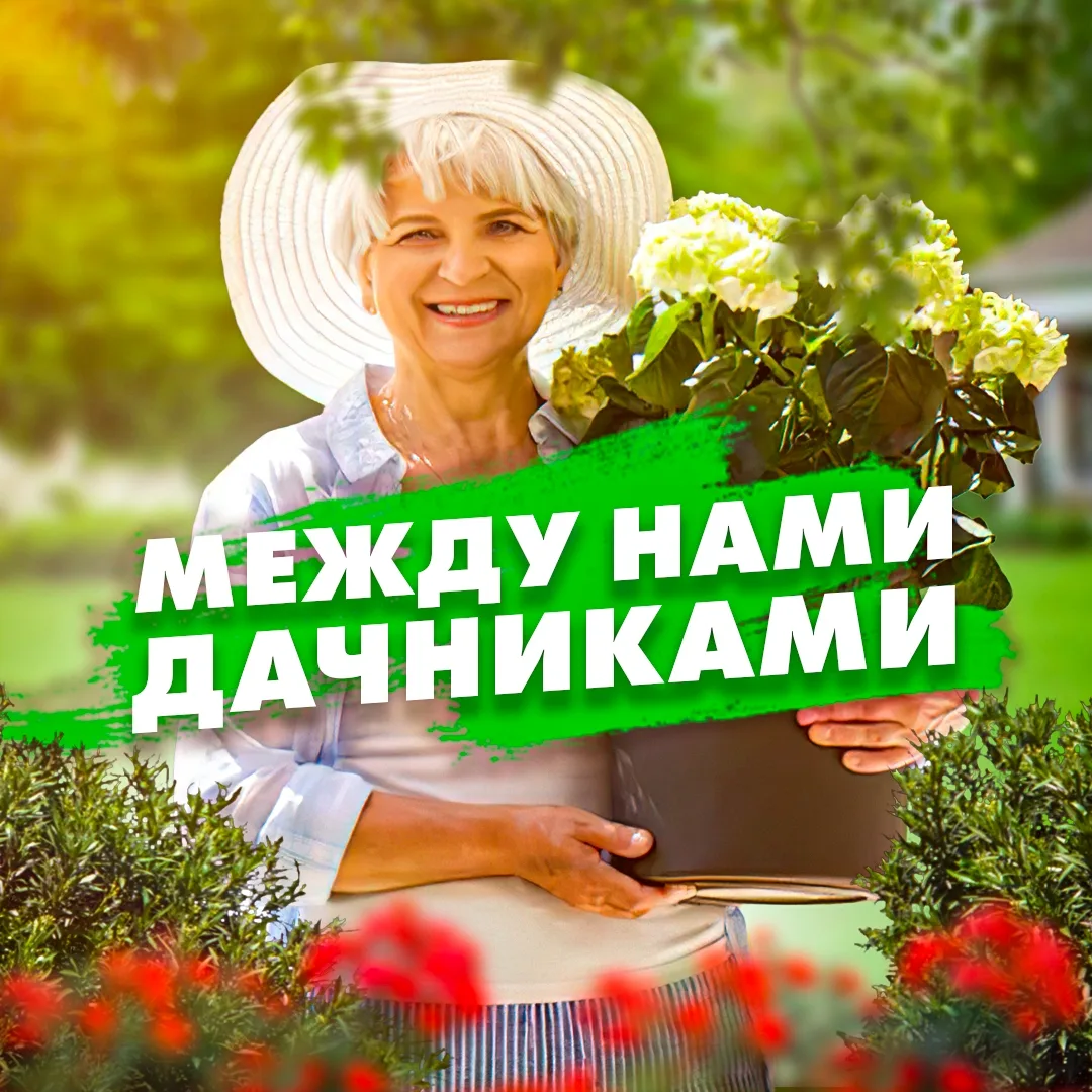 Между нами, дачниками — канал в мессенджере MAX