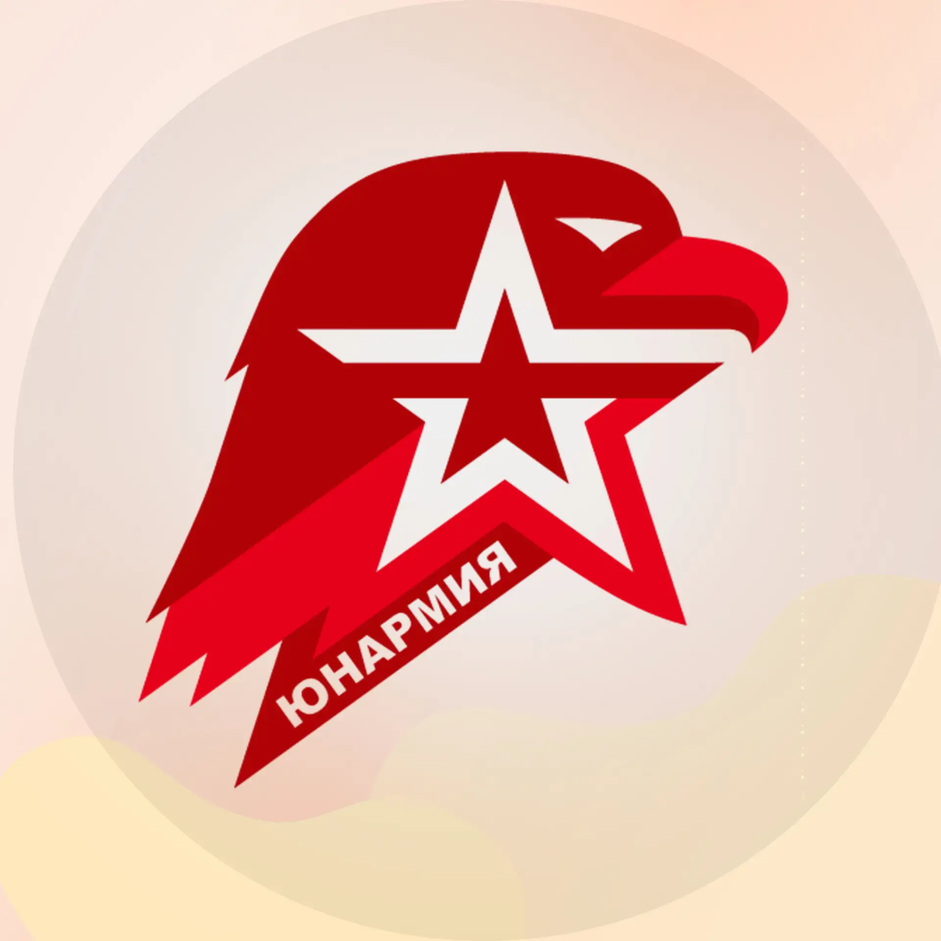 ЮНАРМИЯ — канал в мессенджере MAX