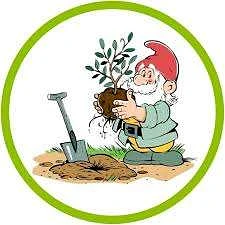 Сад и огород | Дача