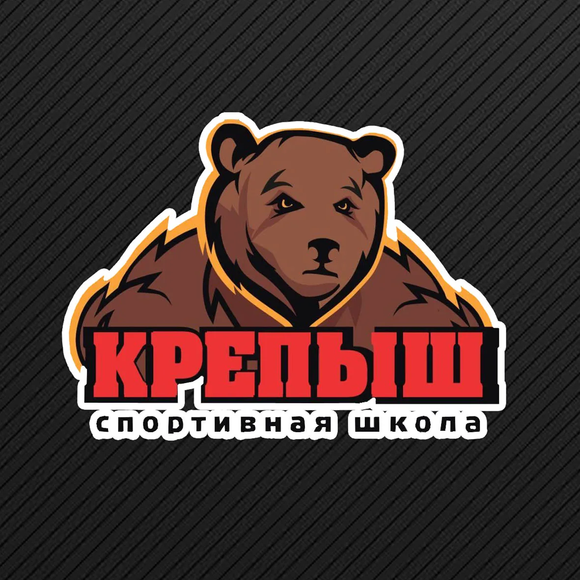 Спортивная школа "Крепыш" им. Тамазова К.Х.