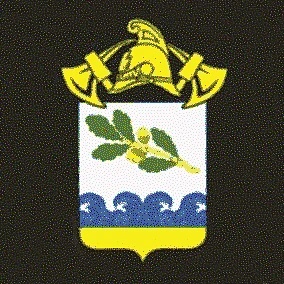 СПб ГКУ "ПСО Курортного района"