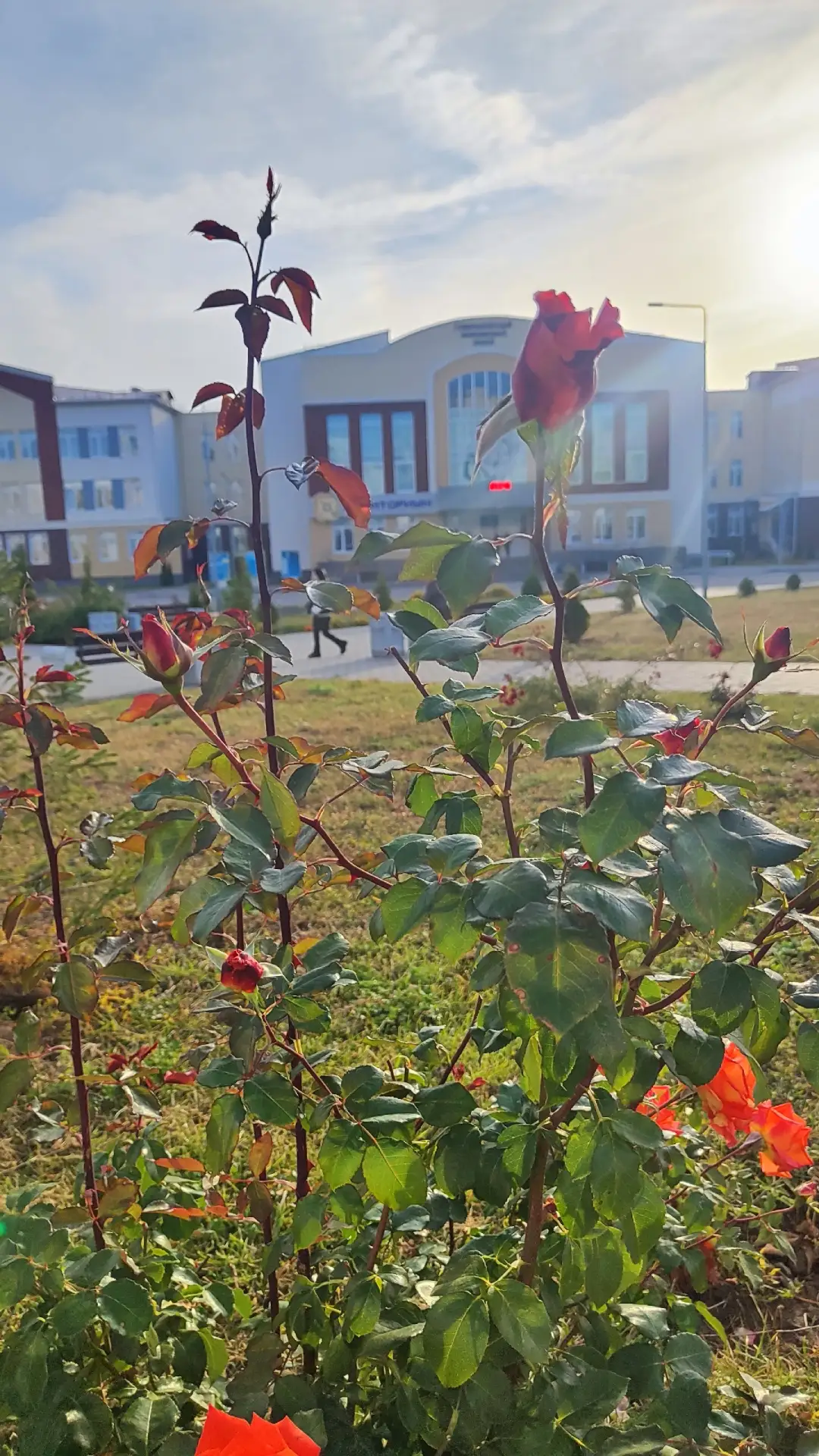 Губернаторский инженерный лицей N 102