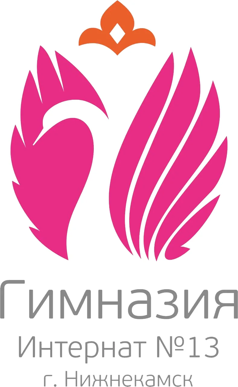 МБОУ "Гимназия-интернат №13" г. Нижнекамск