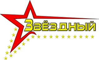 МАУ СОК "Звёздный"