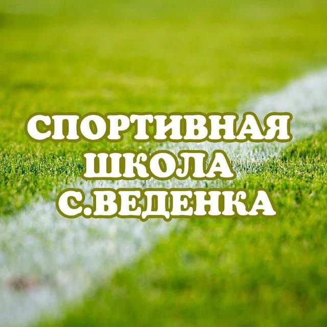 МБУ ДО "ДЮСШ с.Веденка" ДМО — канал в мессенджере MAX
