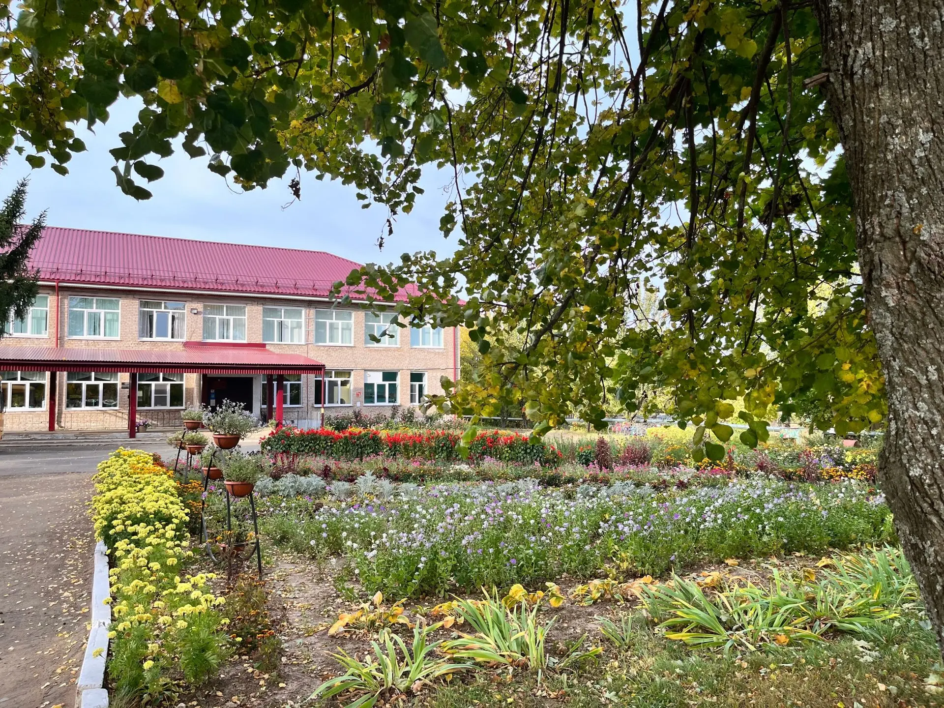 МОУ «Новомоньинская СОШ»