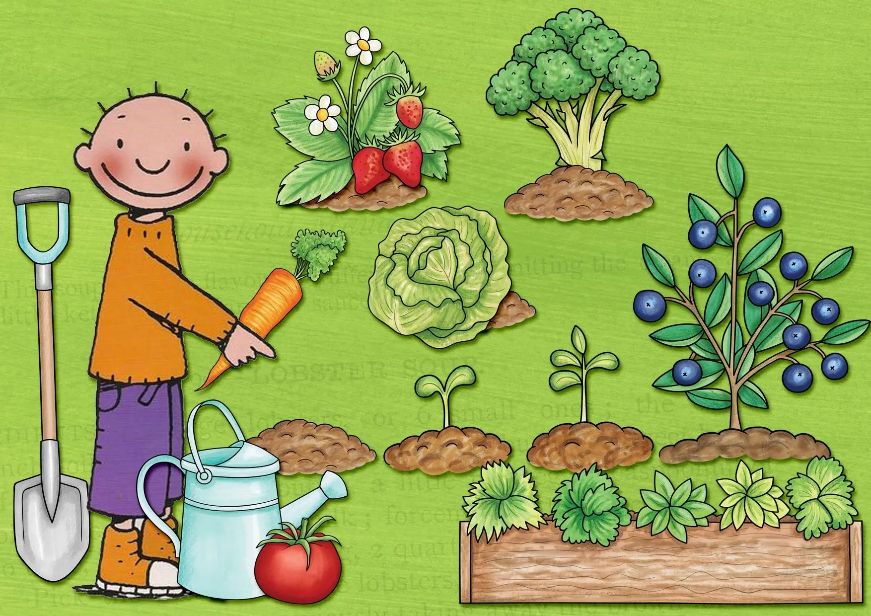 Любимая дача