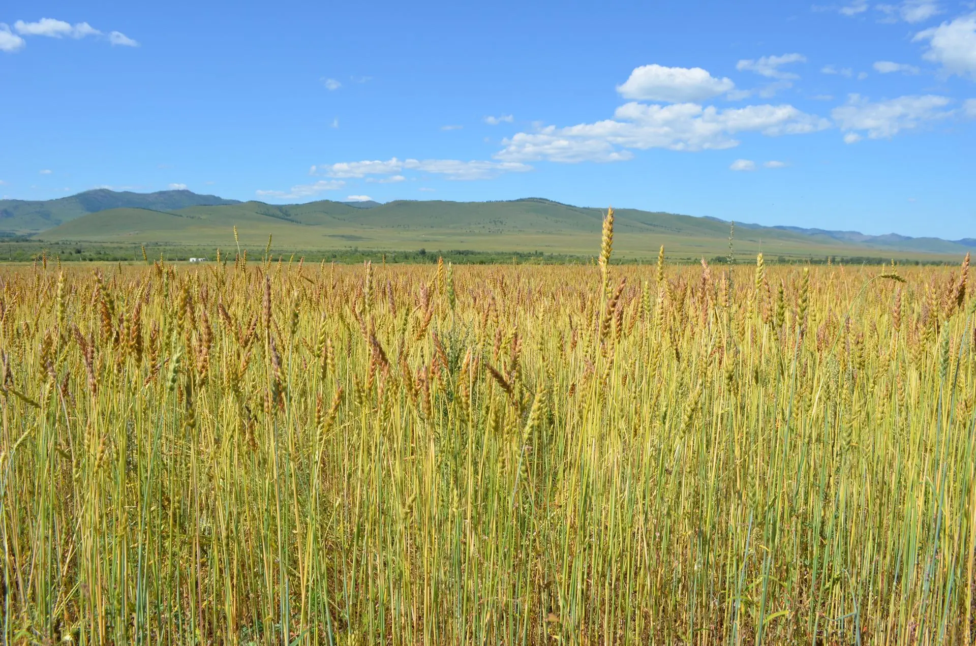 Логотип канала