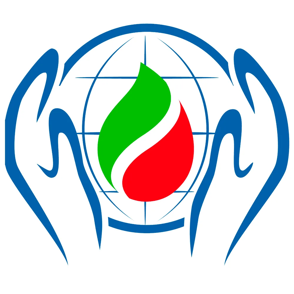 ГАУ  "Центр энергоресурсоэффективных технологий Республики Татарстан"