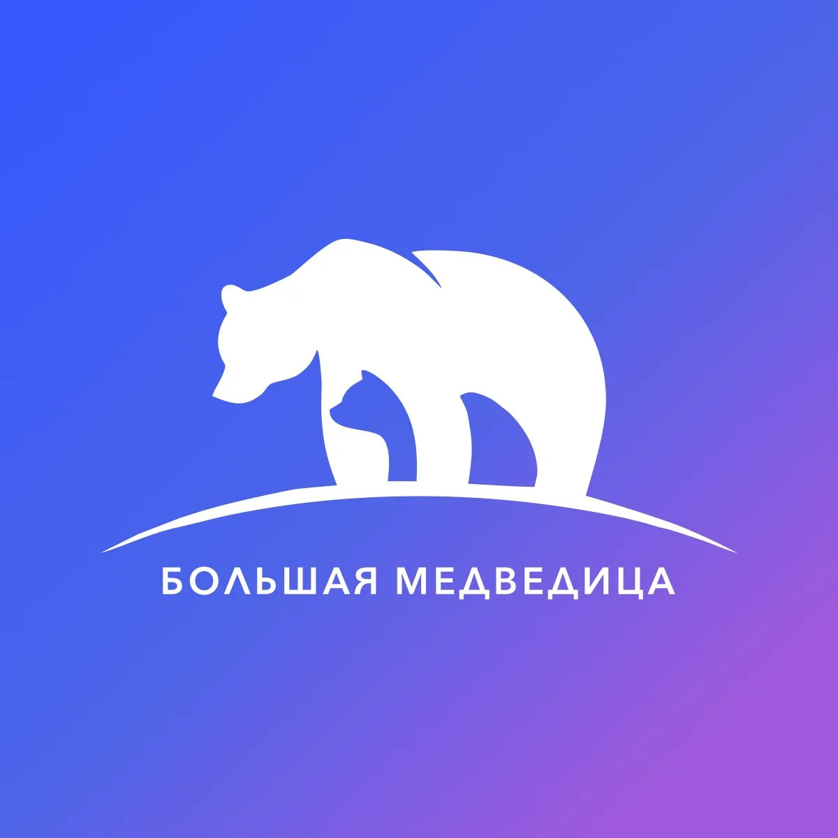 Большая Медведица