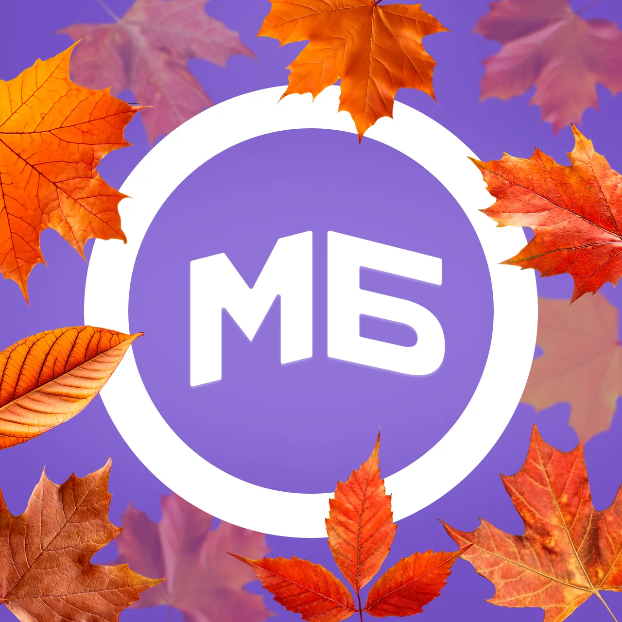 Мир Белогорья — канал в мессенджере MAX