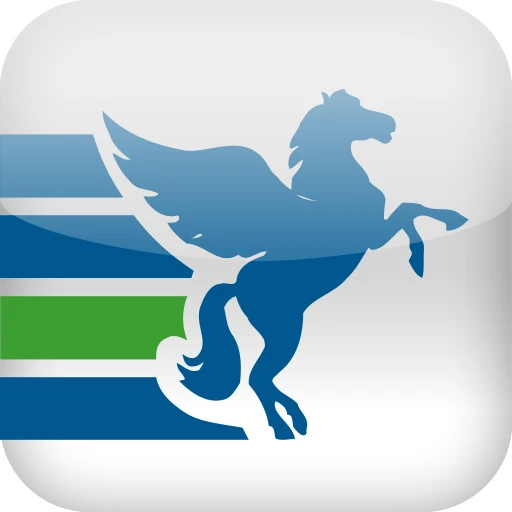 Пегас Железногорск