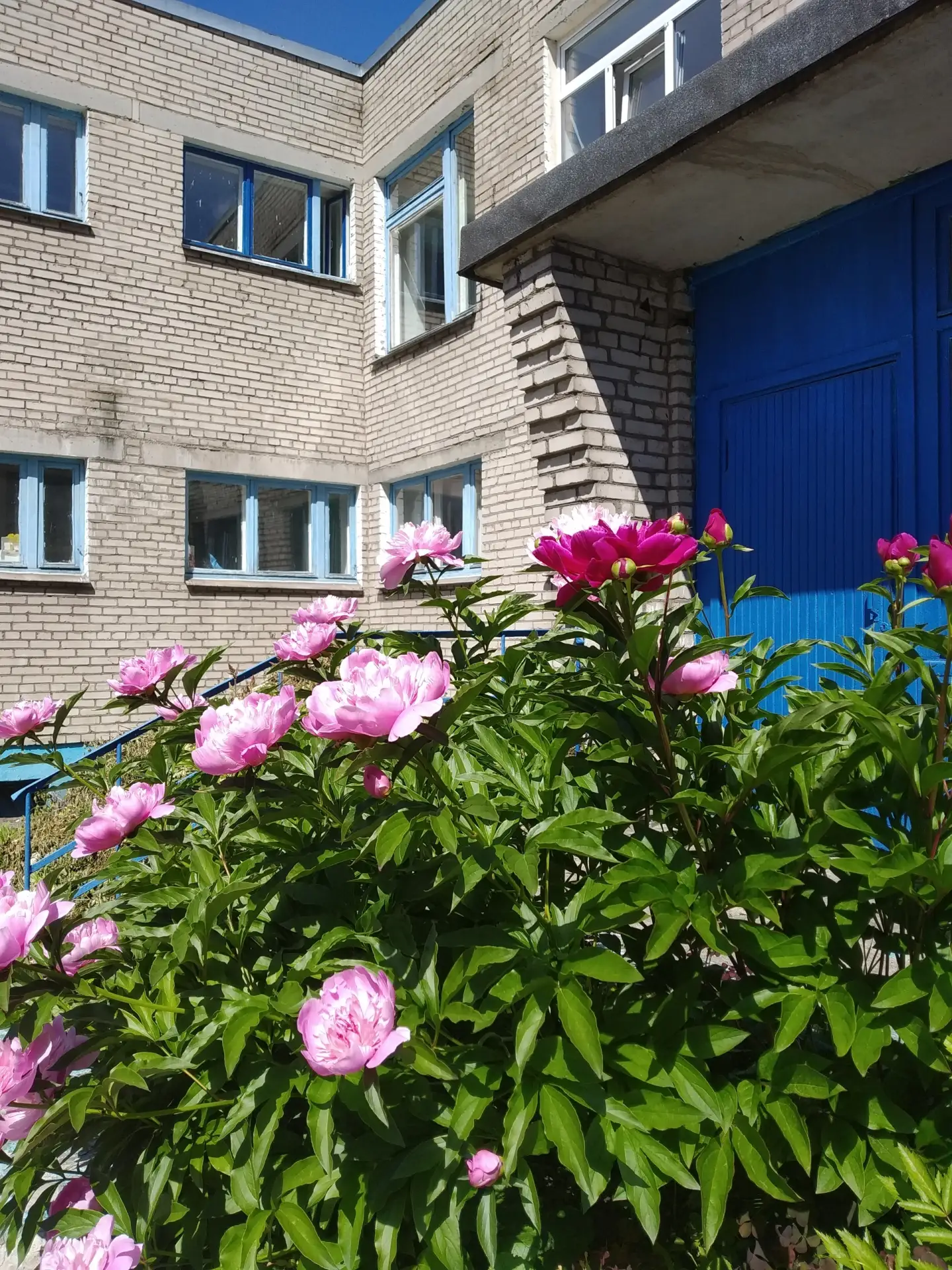 МАДОУ "Детский сад № 103"