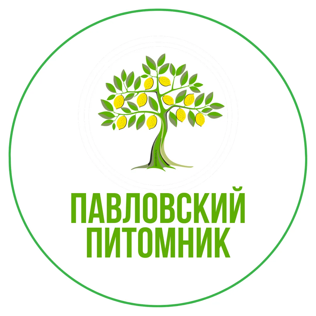 Логотип канала