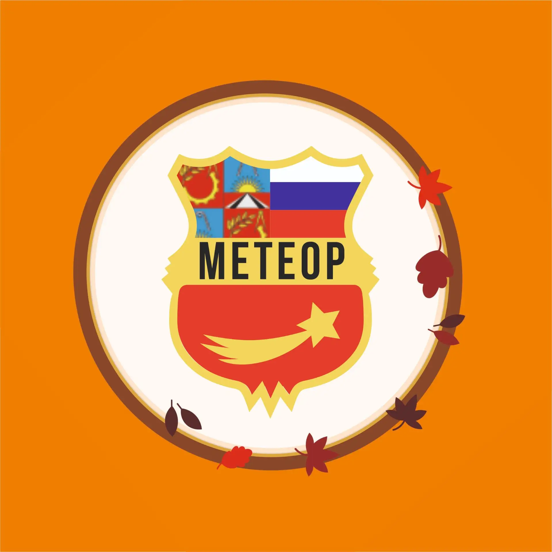 МБУ ДО СШОР Метеор — канал в мессенджере MAX