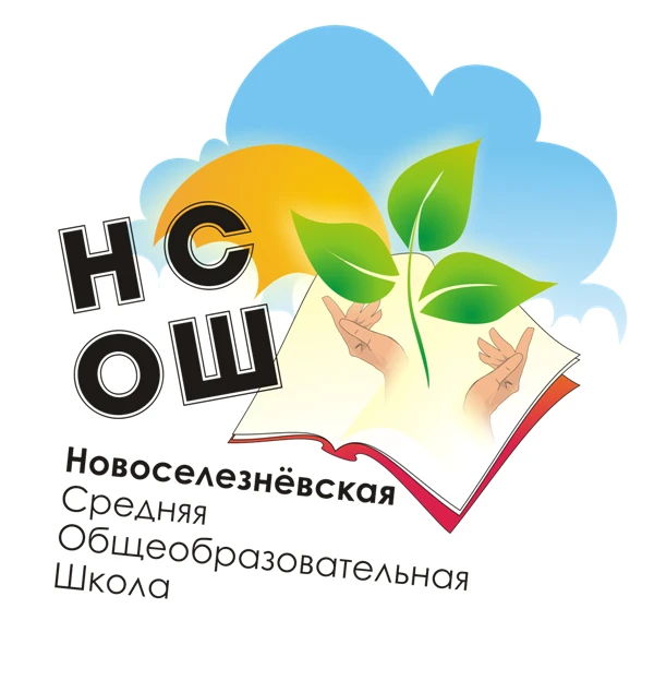 МАОУ Новоселезневская СОШ