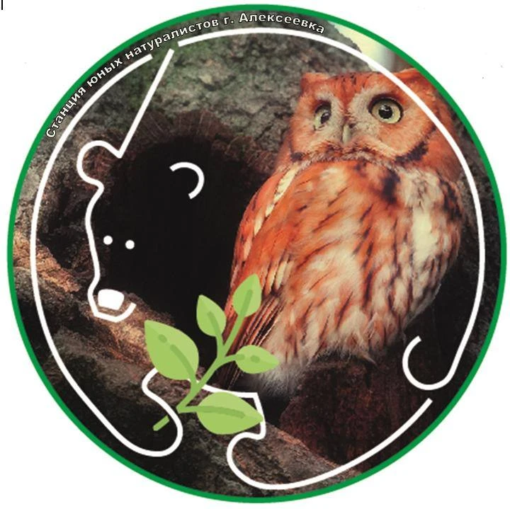 МБУ ДО "СЮН" г. Алексеевка