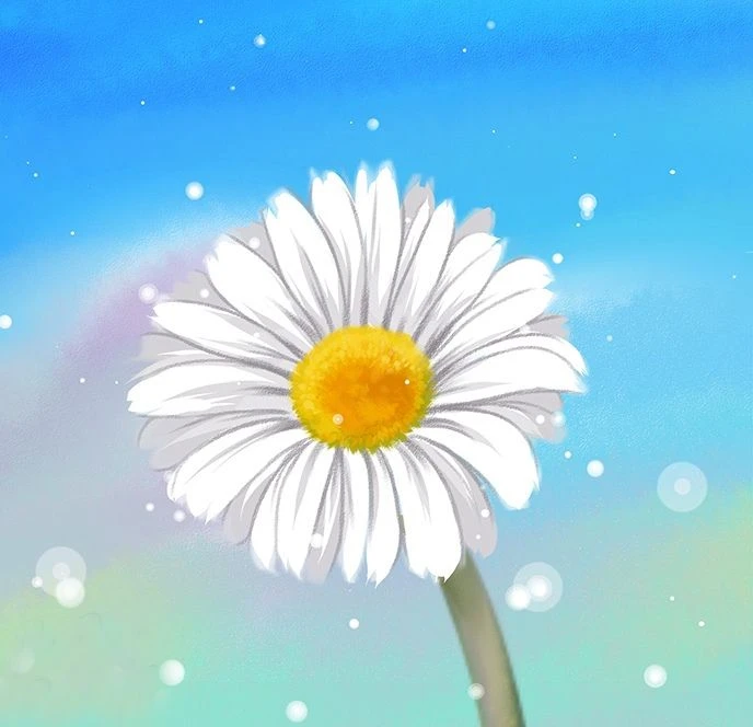 МАДОУ детский сад 2 Ромашка