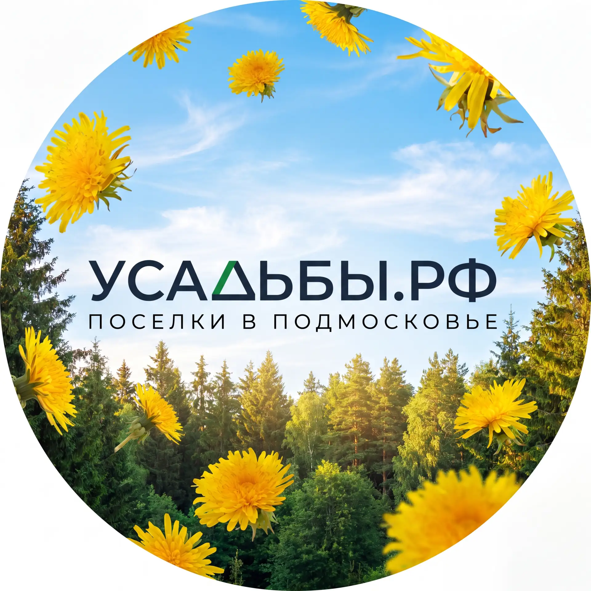 Логотип канала