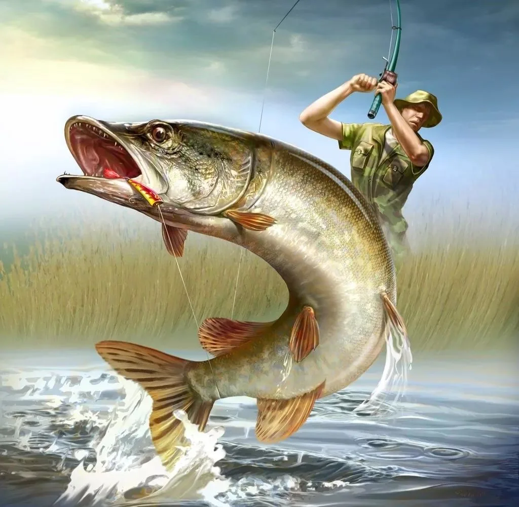 Рыбалка  и Охота