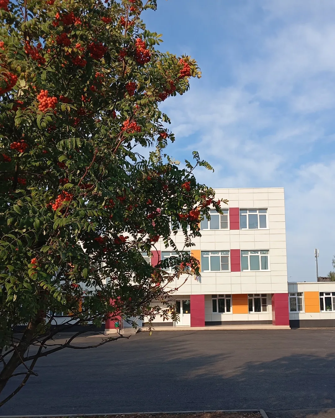 МБОУ «Синьяльская ООШ» Чебоксарского муниципального округа Чувашской Республики