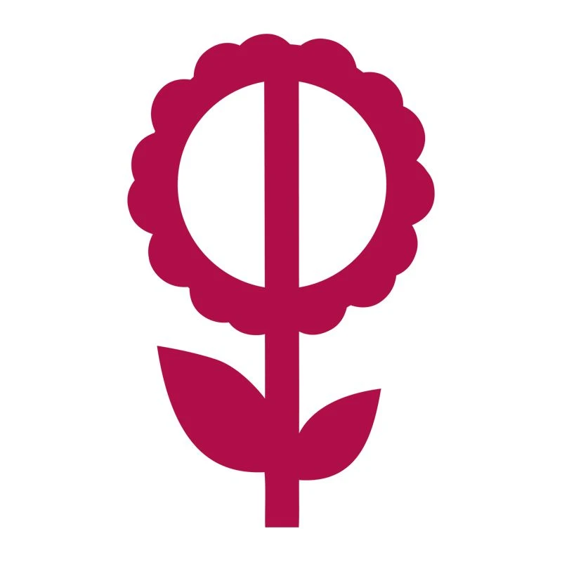 Фиалки от Фиалковода