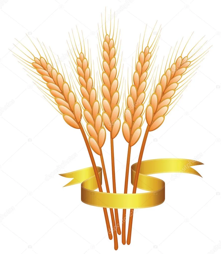 МБДОУ №24 г.Шахты