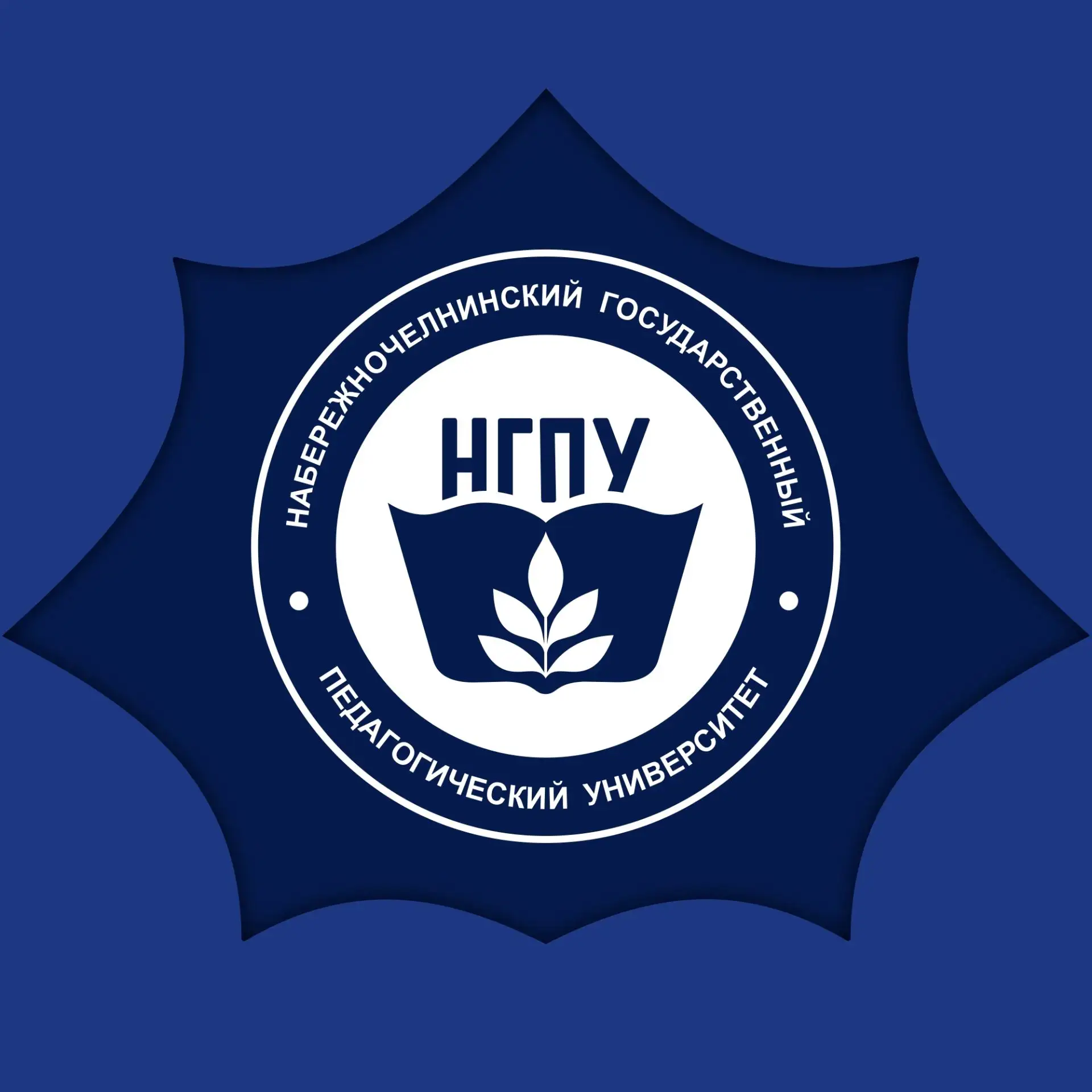 Набережночелнинский педуниверситет