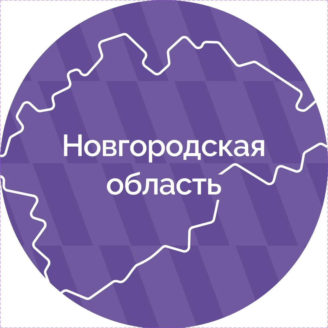 Правительство Новгородской области — канал в мессенджере MAX