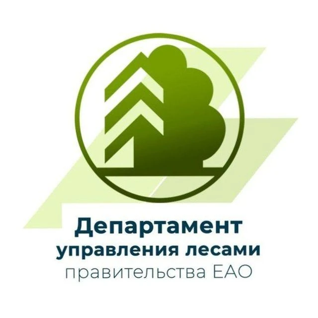 Департамент управления лесами правительства ЕАО — канал в мессенджере MAX
