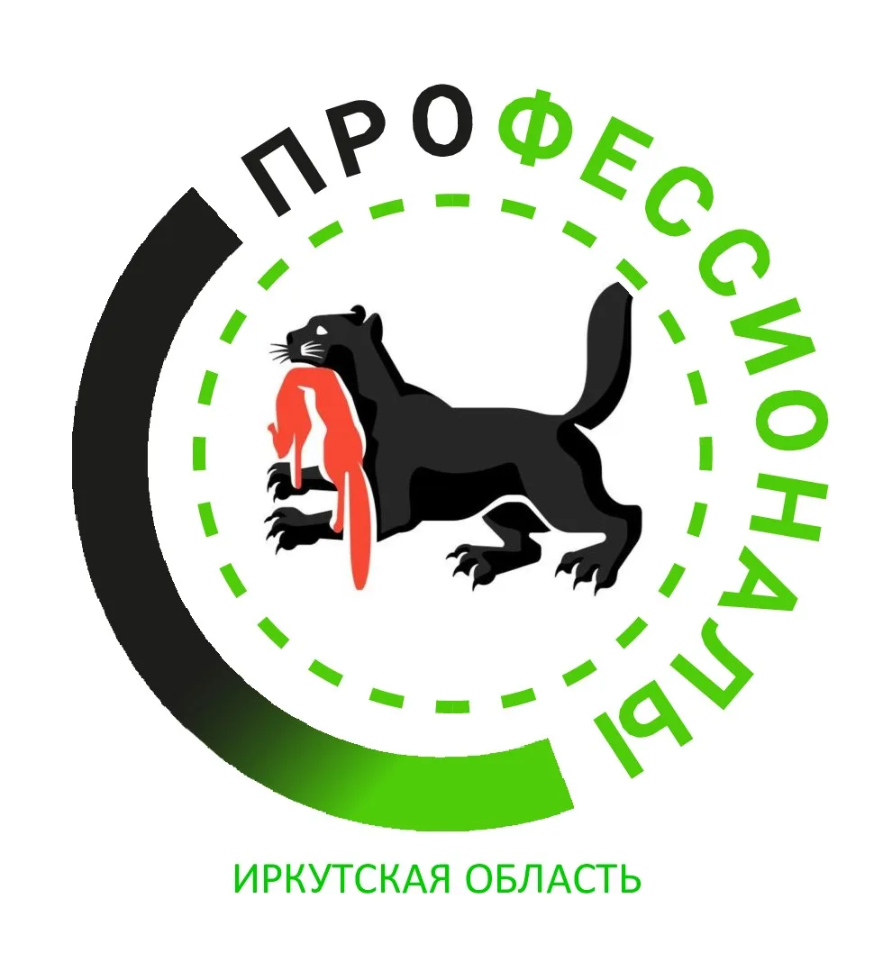 Профессионалы/Иркутская область — канал в мессенджере MAX
