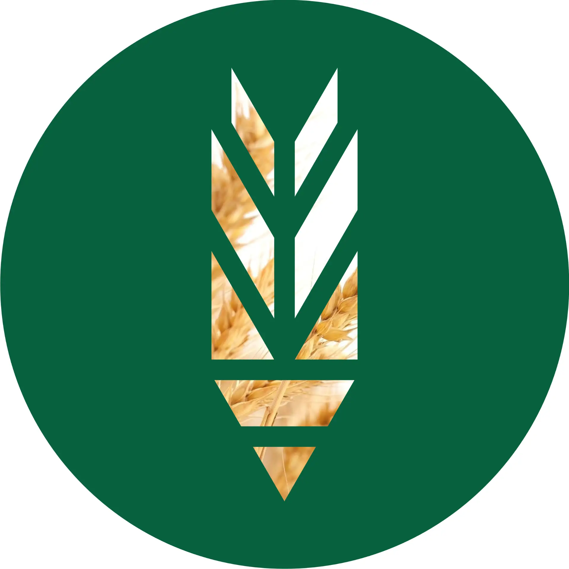 КГБПОУ "Павловский аграрный техникум"