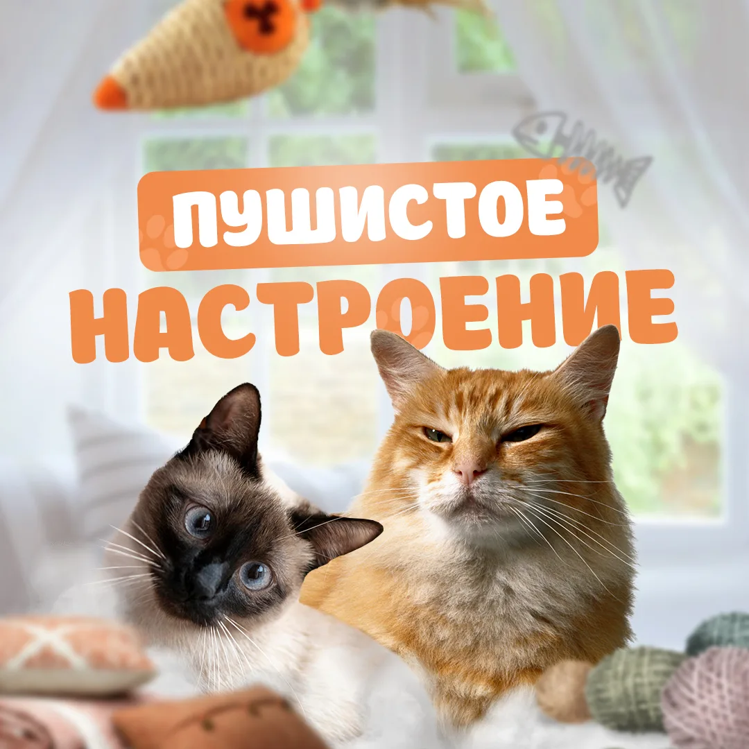 Пушистое настроение | Котики — канал в мессенджере MAX