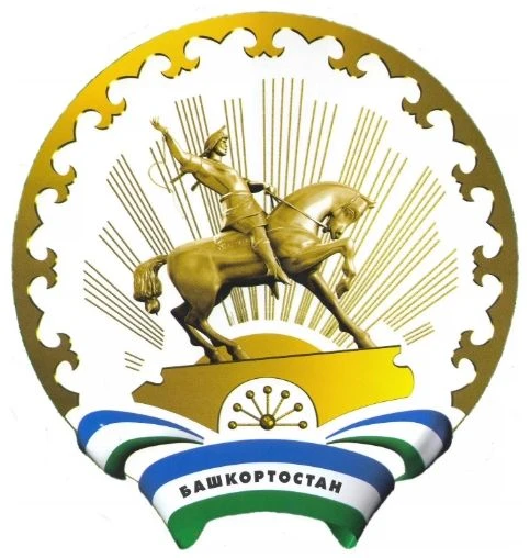 Совет сельского поселения Аксаитовский сельсовет