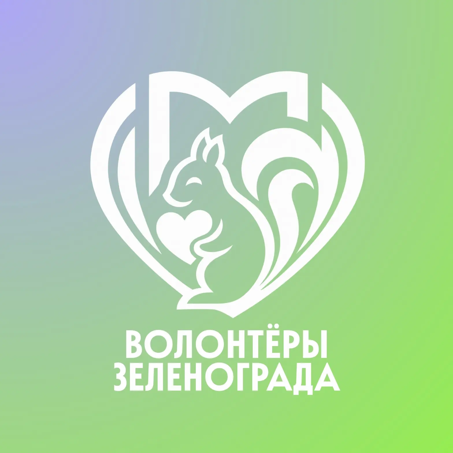 Волонтёры Зеленограда — канал в мессенджере MAX